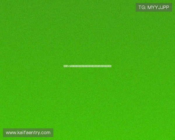 新西兰vs埃及世界杯比赛交通指南:确保顺利观赛的出行方案与交通信息